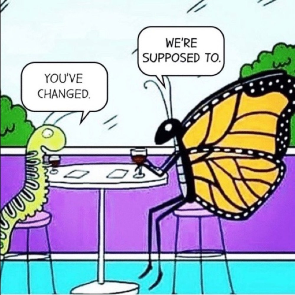 ✨🦋 Rosegold tone butterfly ring🦋✨ - Picture 3 of 6